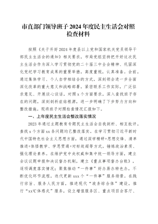 市直部门领导班子2024年度民主生活会对照检查材料