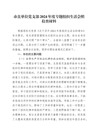 市直单位党支部2024年度专题组织生活会照检查材料