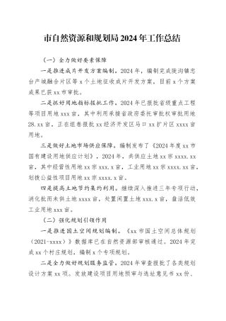市自然资源和规划局2024年工作总结