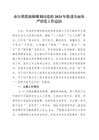 市自然资源和规划局党组2024年推进全面从严治党工作总结