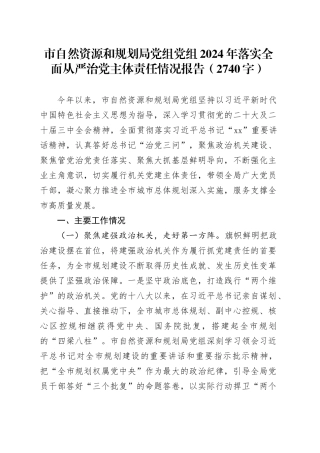 市自然资源和规划局党组党组2024年落实全面从严治党主体责任情况报告（2740字）