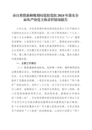 市自然资源和规划局党组党组2024年落实全面从严治党主体责任情况报告