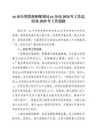 市自然资源和规划局分局2024年工作总结及2025年工作思路