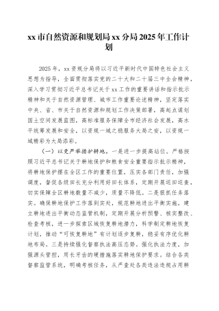 市自然资源和规划局分局2025年工作计划