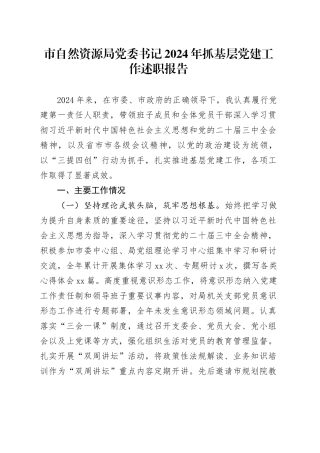 市自然资源局党委书记2024年抓基层党建工作述职报告