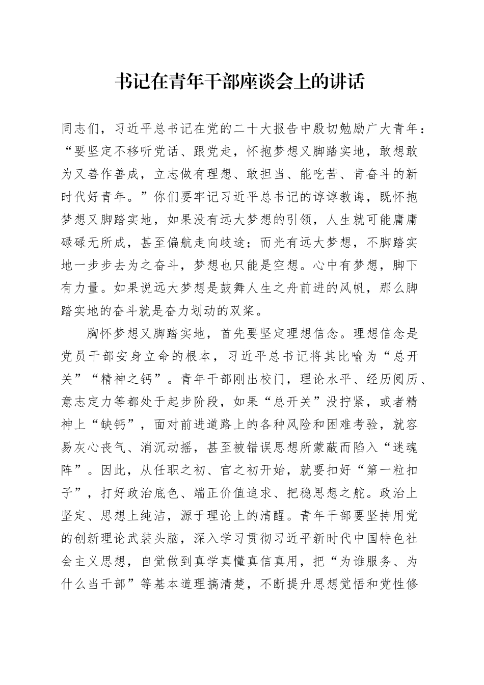 书记在青年干部座谈会上的讲话_第1页