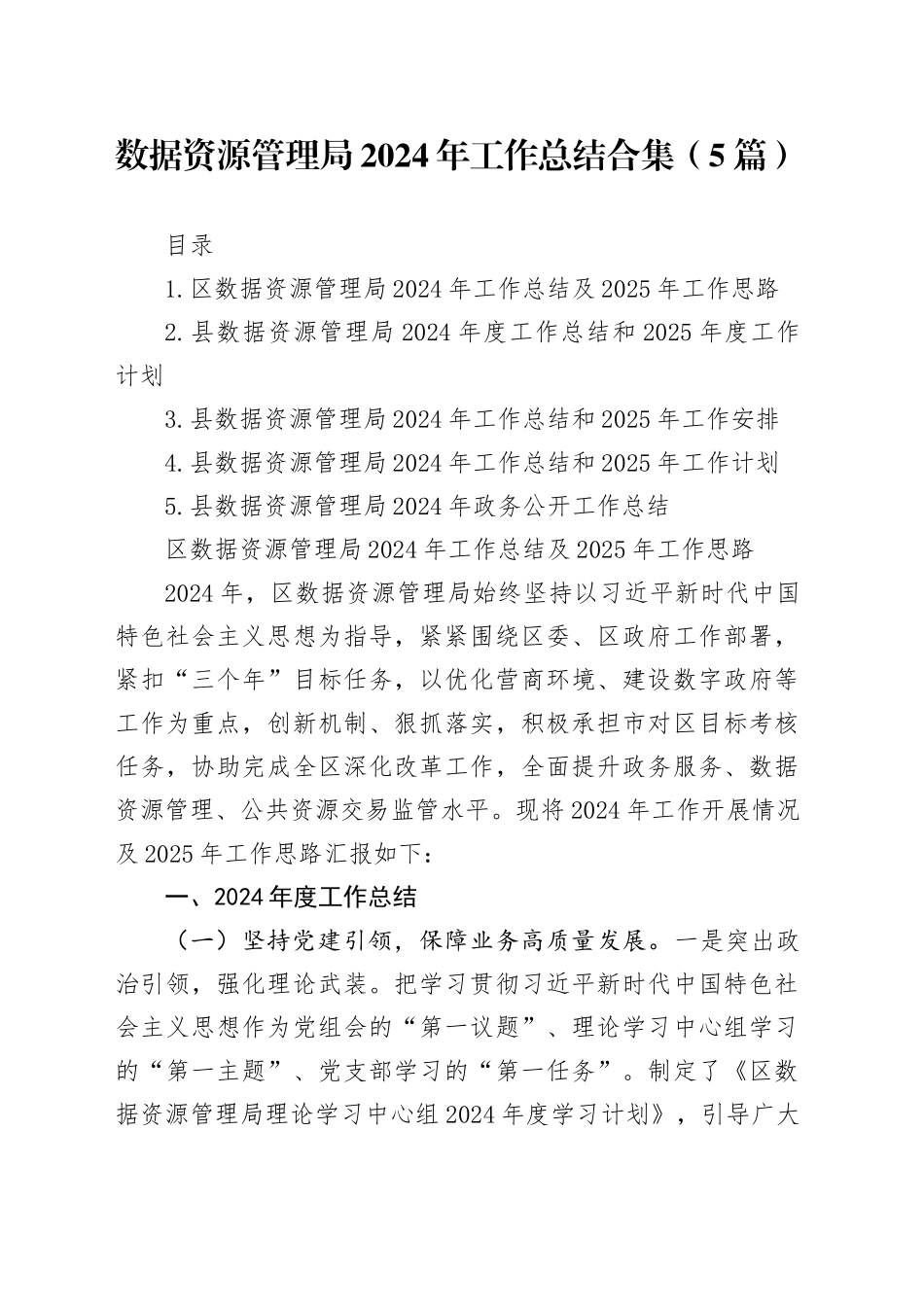 数据资源管理局2024年工作总结合集（5篇）_第1页