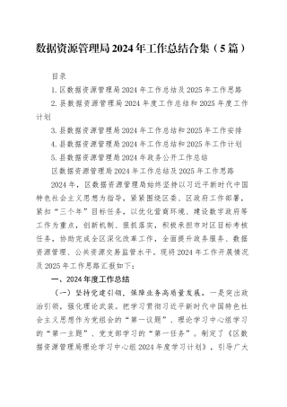 数据资源管理局2024年工作总结合集（5篇）