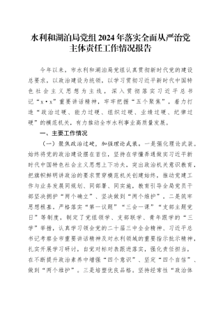 水利和湖泊局党组2024年落实全面从严治党主体责任工作情况报告