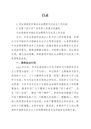 司法局推进市域社会治理现代化试点工作总结