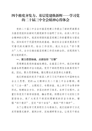 四个维度齐发力，基层党建焕新辉——学习党的二十届三中全会精神心得体会