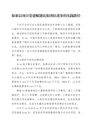 探索以项目党建赋能民族团结进步的实践路径