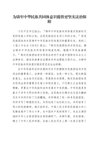 为铸牢中华民族共同体意识提供更坚实法治保障