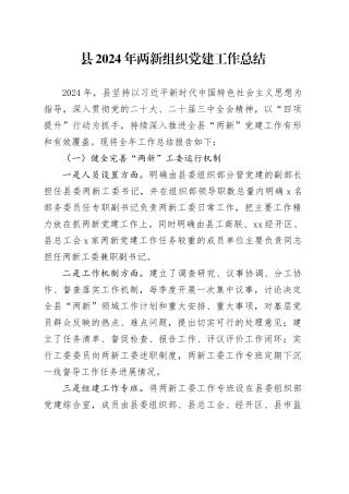 县2024年两新组织党建工作总结20241218