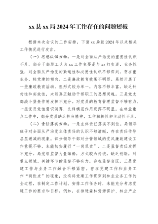 县XX局2024年工作存在的问题短板