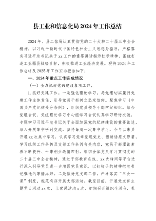 县工业和信息化局2024年工作总结