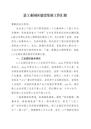 县工业园区建设发展工作汇报总结报告20241113