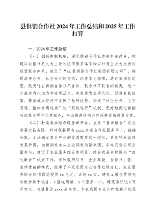 县供销合作社2024年工作总结和2025年工作打算