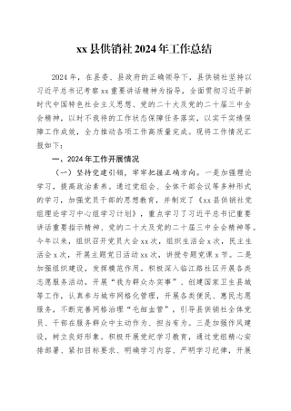 县供销社2024年工作总结（20241114）