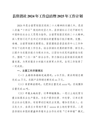 县供销社2024年工作总结暨2025年工作计划