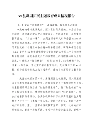 县巩固拓展主题教育成果情况报告