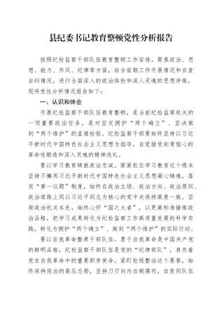 县纪委书记教育整顿党性分析报告