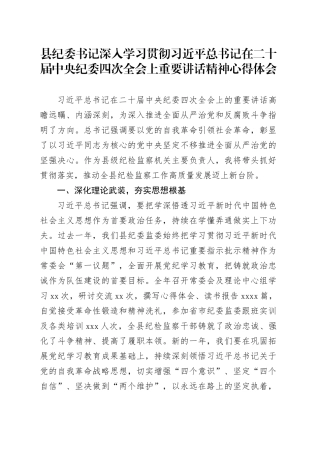 县纪委书记深入学习贯彻习近平总书记在二十届中央纪委四次全会上重要讲话精神心得体会