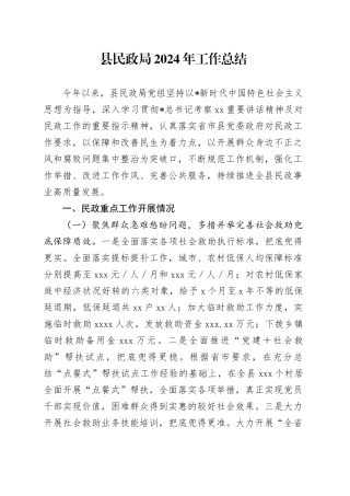 县民政局2024年度工作总结