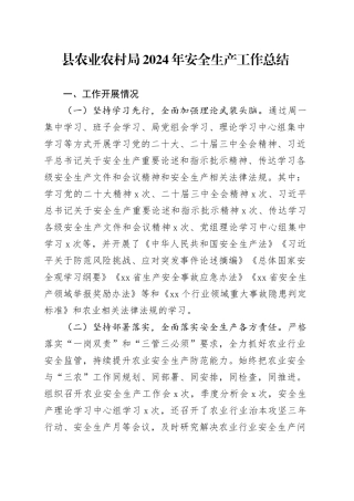 县农业农村局2024年安全生产工作总结