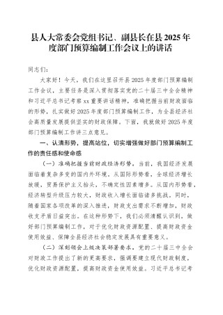 县人大常委会党组书记、副县长在县2025年度部门预算编制工作会议上的讲话