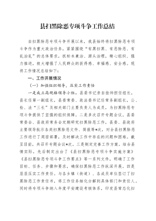 县扫黑除恶专项斗争工作总结