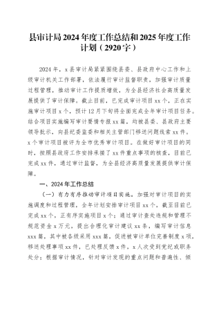 县审计局2024年度工作总结和2025年度工作计划（2920字）