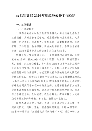 县审计局2024年度政务公开工作总结