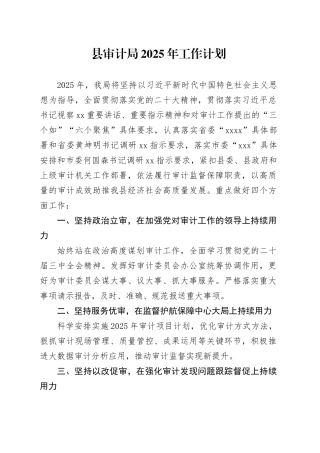 县审计局2025年工作计划(1)
