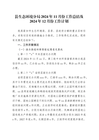 县生态环境分局2024年11月份工作总结及2024年12月份工作计划