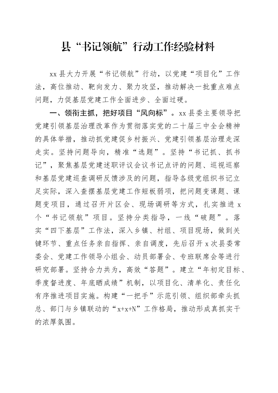 县书记领航行动工作经验材料总结汇报报告20241207_第1页