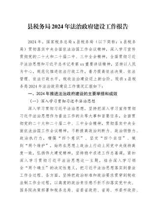 县税务局2024年法治政府建设工作报告总结汇报20241225