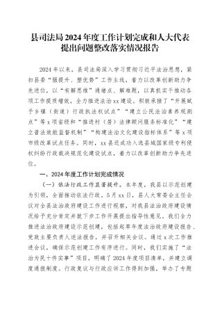县司法局2024年度工作计划完成和人大代表提出问题整改落实情况报告（20241114）