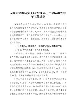 县统计调查队党支部2024年工作总结和2025年工作计划