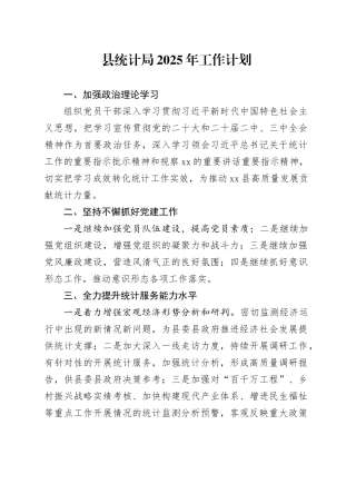 县统计局2025年工作计划(1)