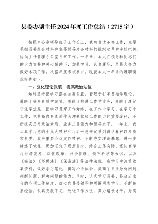 县委办副主任2024年度工作总结（2715字）