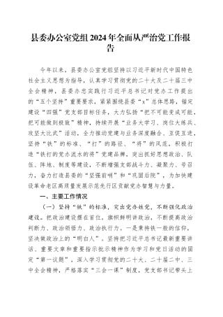 县委办公室党组2024年全面从严治党工作报告20250110
