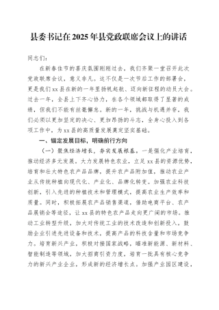 县委书记在2025年县党政联席会议上的讲话