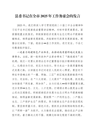 县委书记在全市2025年工作务虚会的发言