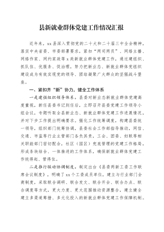 县新就业群体党建工作情况汇报