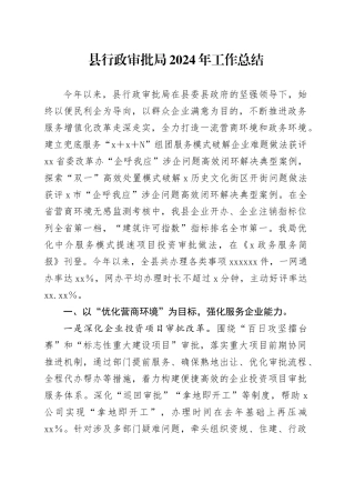 县行政审批局2024年工作总结