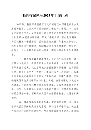 县医疗保障局2025年工作计划（20241119）
