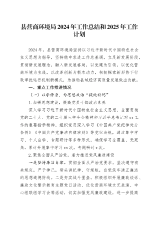 县营商环境局2024年工作总结和2025年工作计划