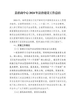 县招商中心2024年法治建设工作总结（20241115）