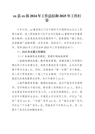 县镇2024年工作总结和2025年工作打算